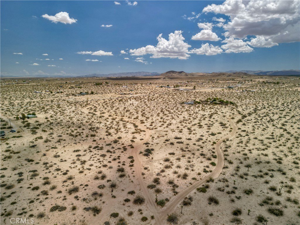 Picture 15