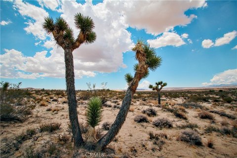 Land in Serene Desert Setting