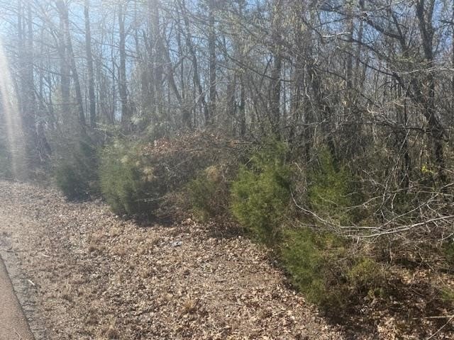 Picture 14