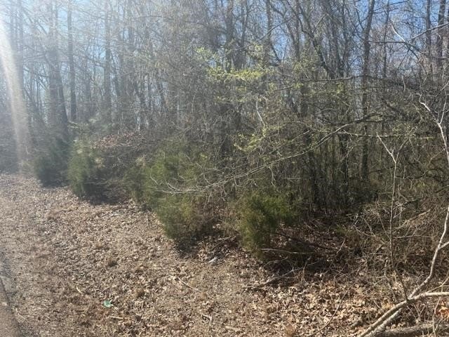 Picture 13