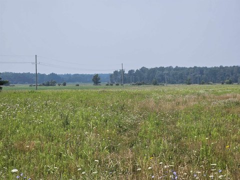 Carsonville Vacant Land Opportunity