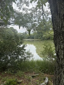 Land, EXMORE, VA