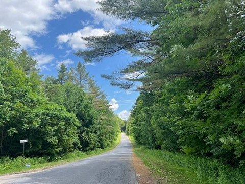 Wooded Waterfront Hunting Tract