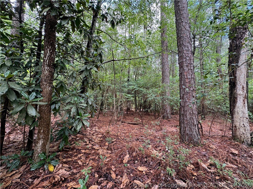 Picture 18