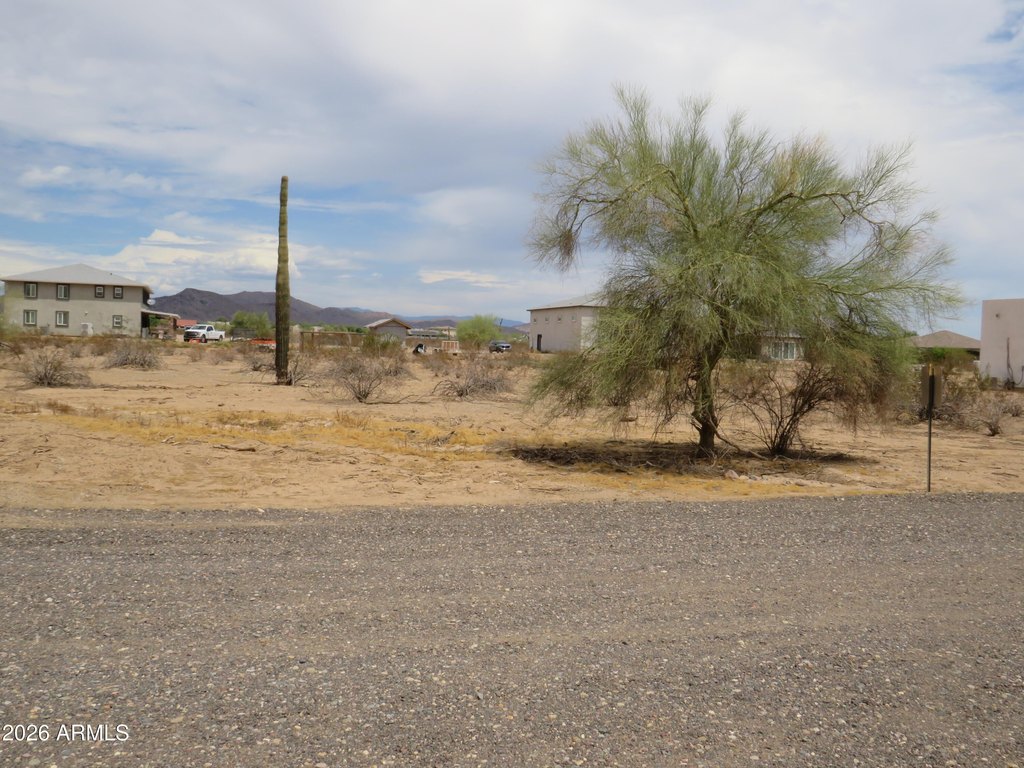 Picture 8