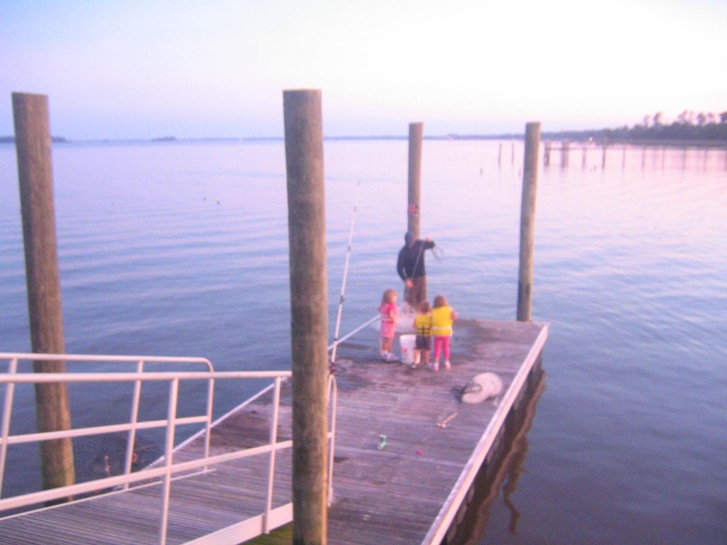 Picture 7