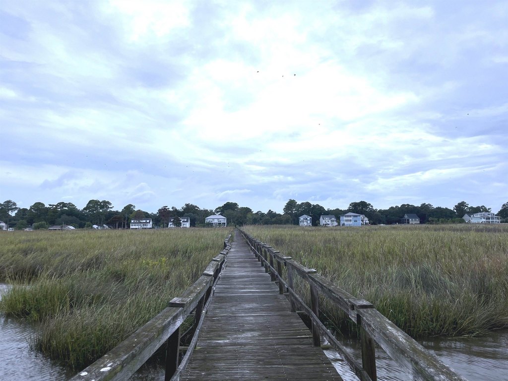 Picture 22