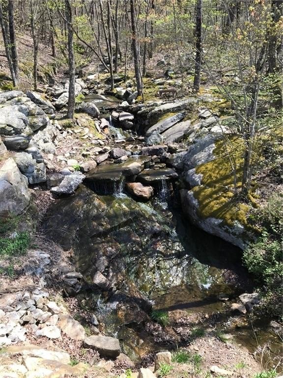 Picture 14