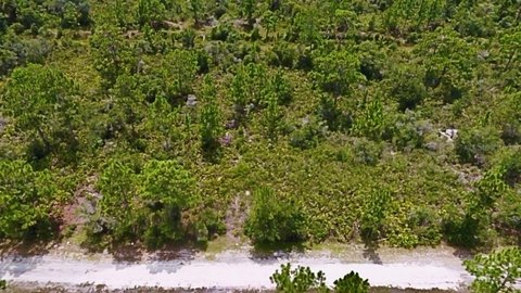 Land, INDIAN LAKE ESTATES, FL