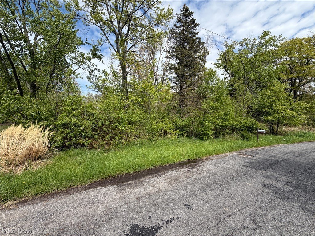 Picture 10