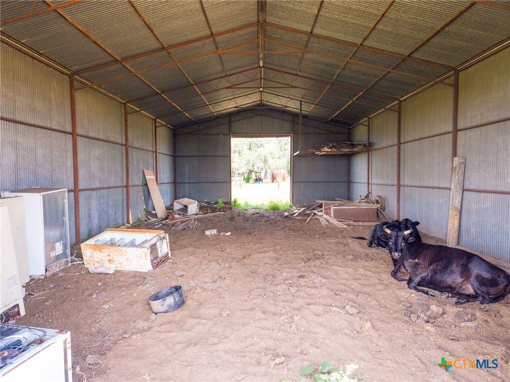 Picture 12