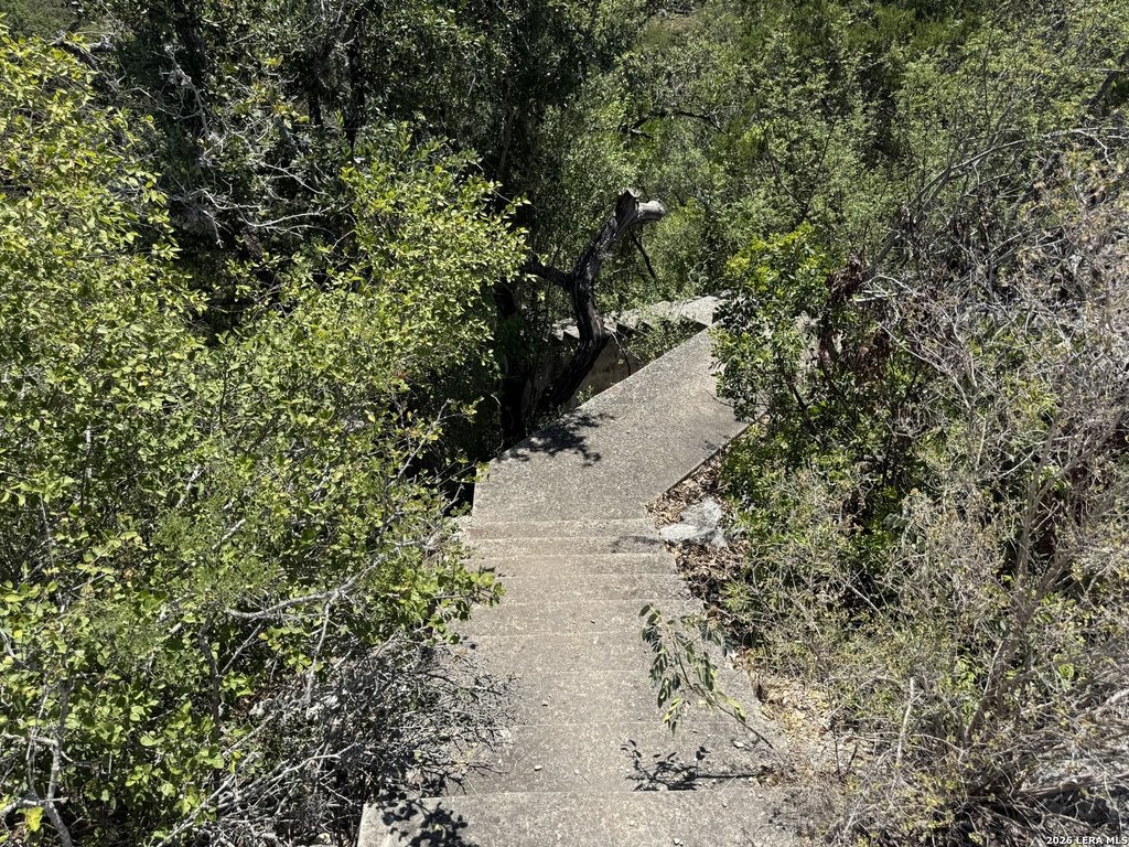 Picture 22