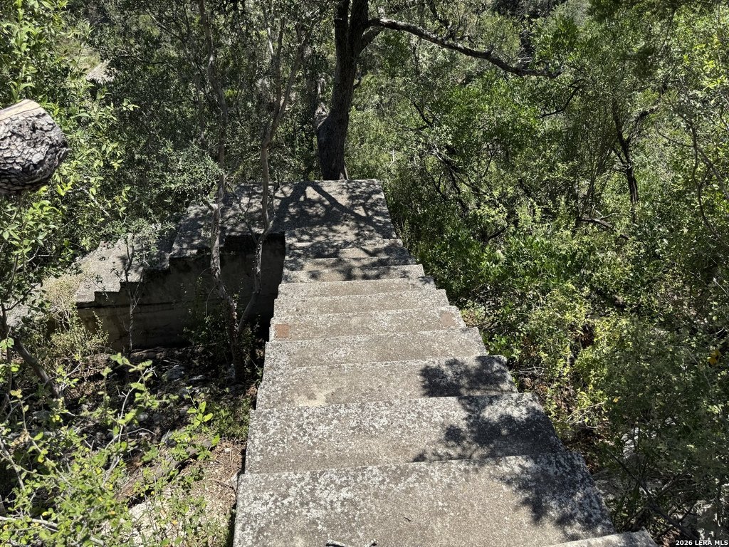 Picture 26