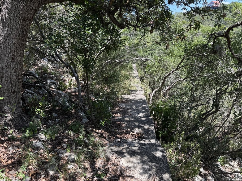 Picture 27