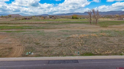 LAND, Montrose, CO