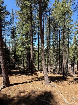 LAND - South Lake Tahoe, CA