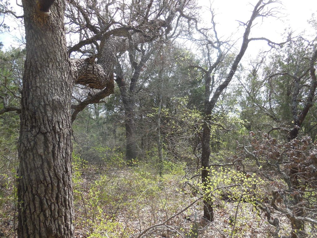 Picture 6