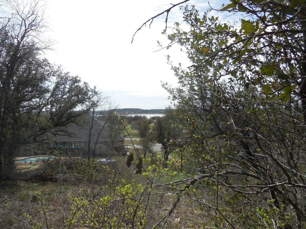 Picture 7
