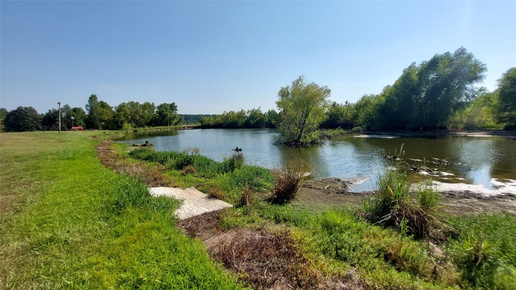 Picture 8