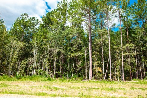 Clarks Hill Land For Sale