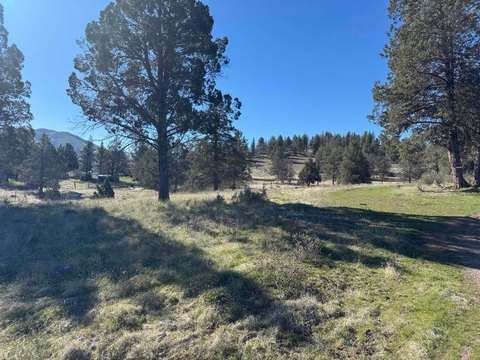 Land Near Klamath River