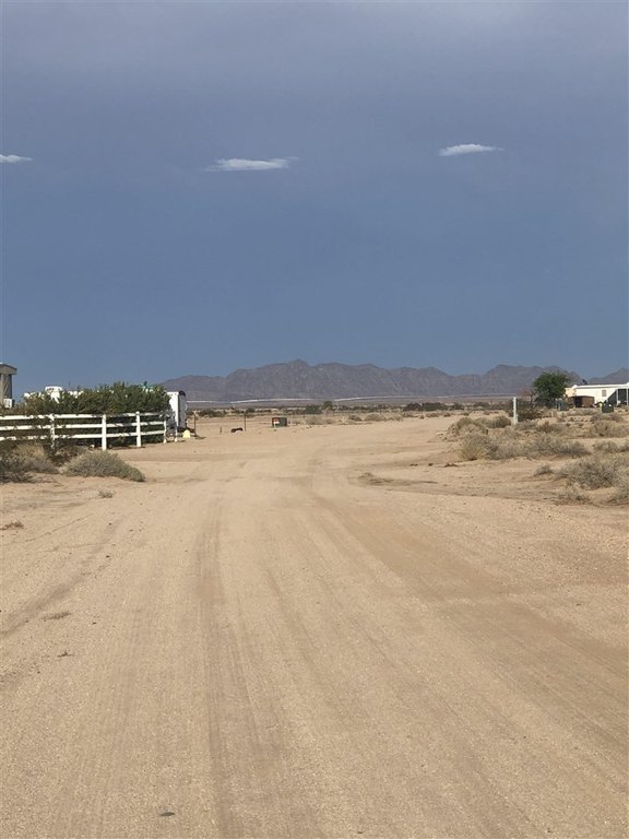 Picture 11