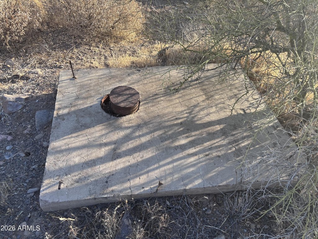 Picture 51