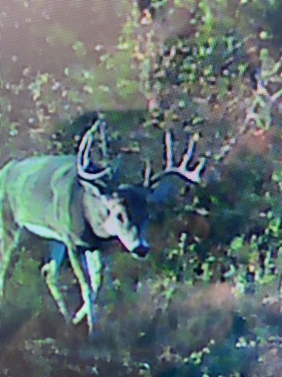 10 Acres on Highway 36