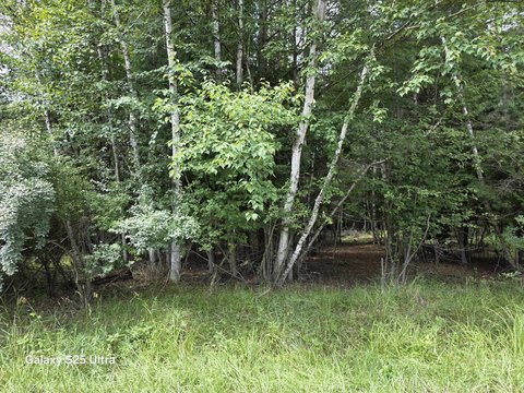 LAND - Gladwin, MI