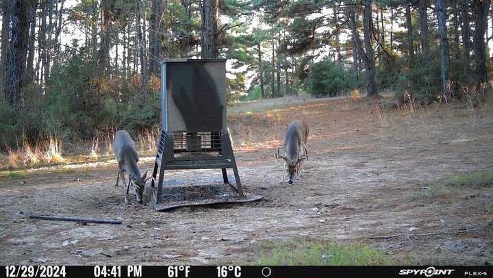 Picture 17