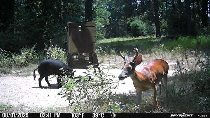 Picture 14