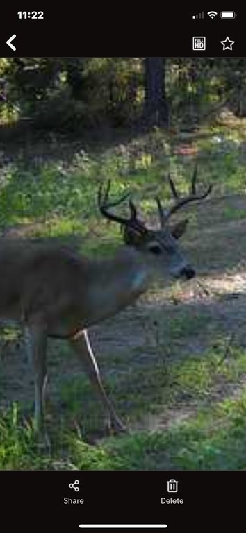 Picture 22
