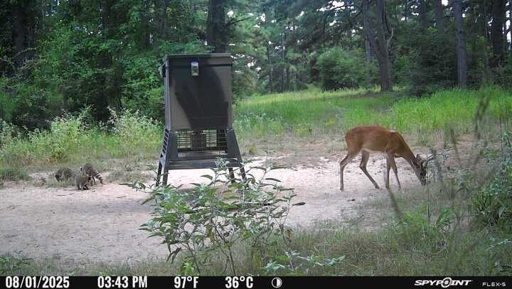 Picture 4
