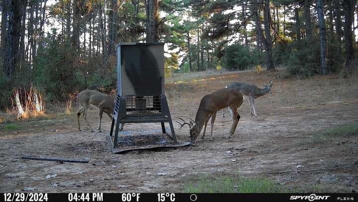 Picture 9