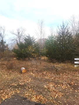 Residential Land in Chetek, WI