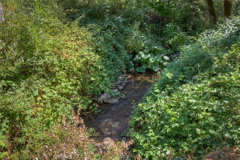 Picture 24