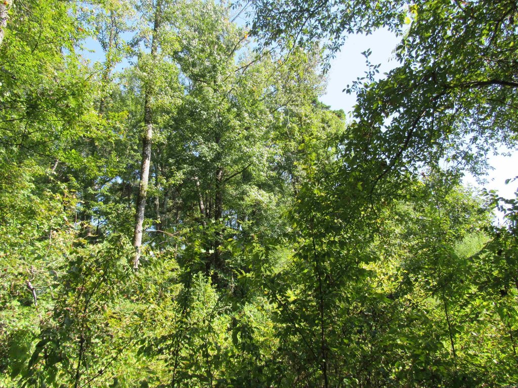 Picture 17