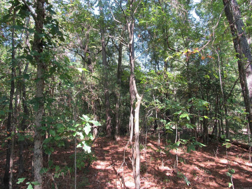 Picture 16