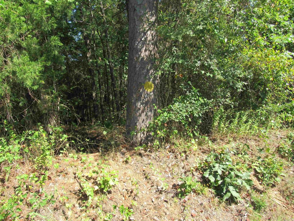 Picture 14