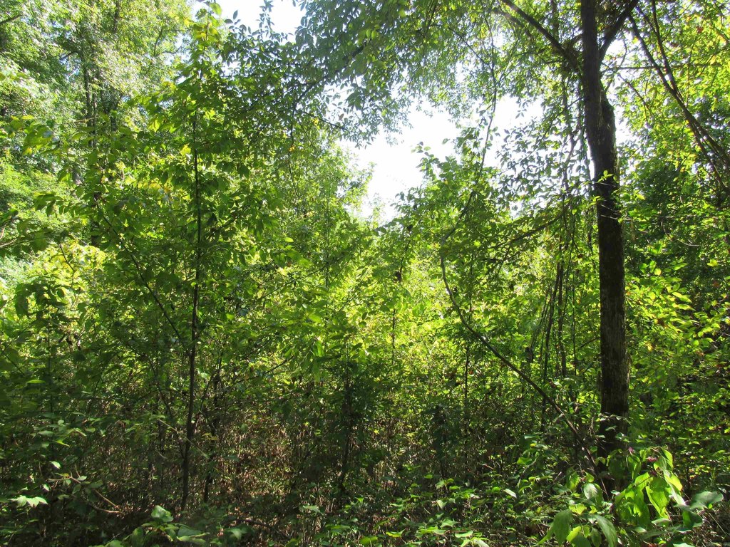 Picture 18