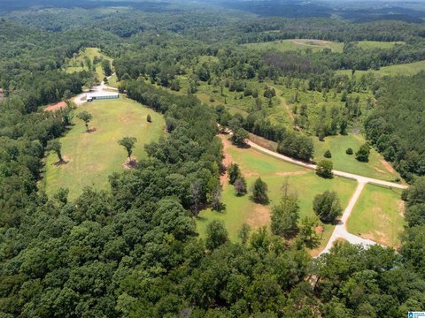 LAND/LOTS, WEDOWEE, AL