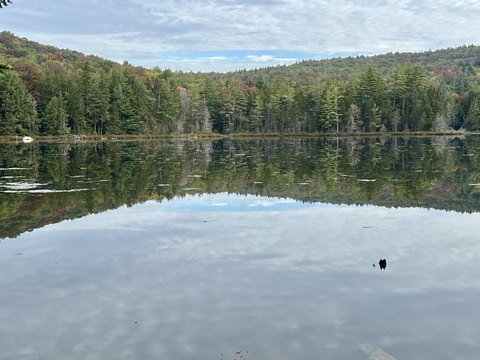 Land, Jamaica, VT