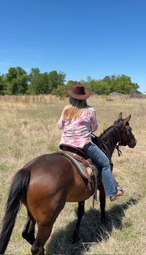 Partially Fenced Texas Land Parcel
