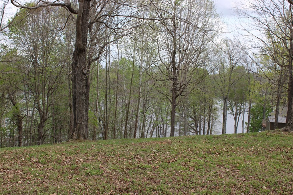 Picture 5