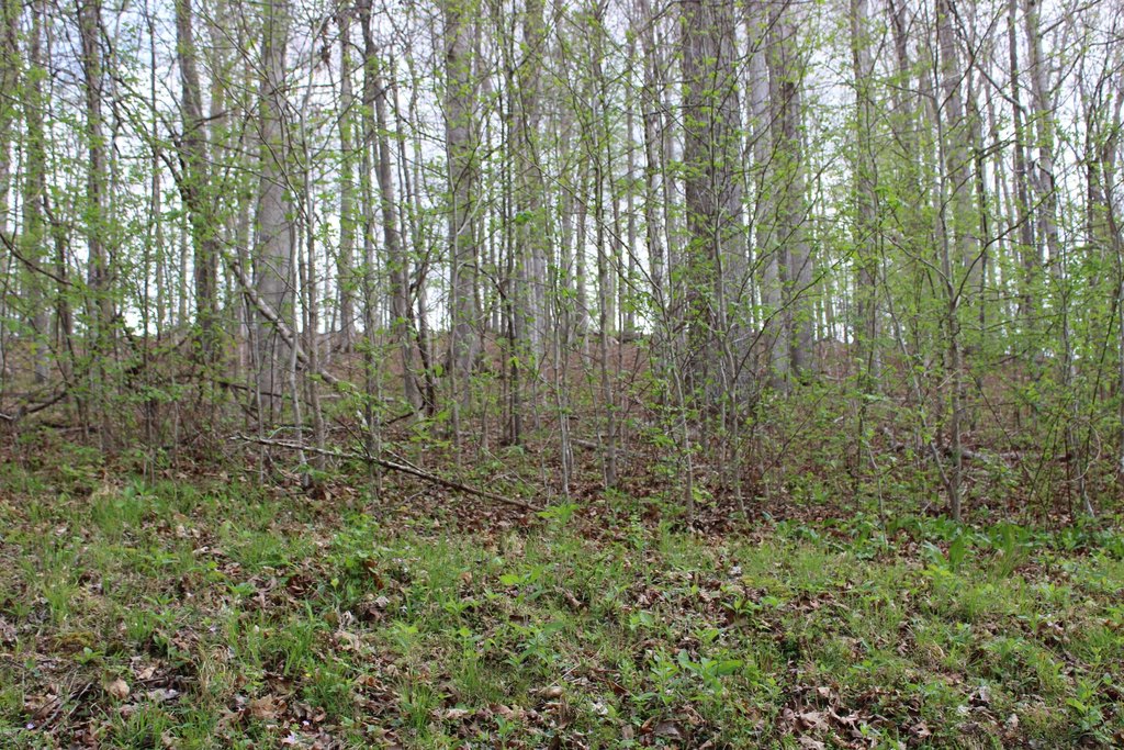Picture 2