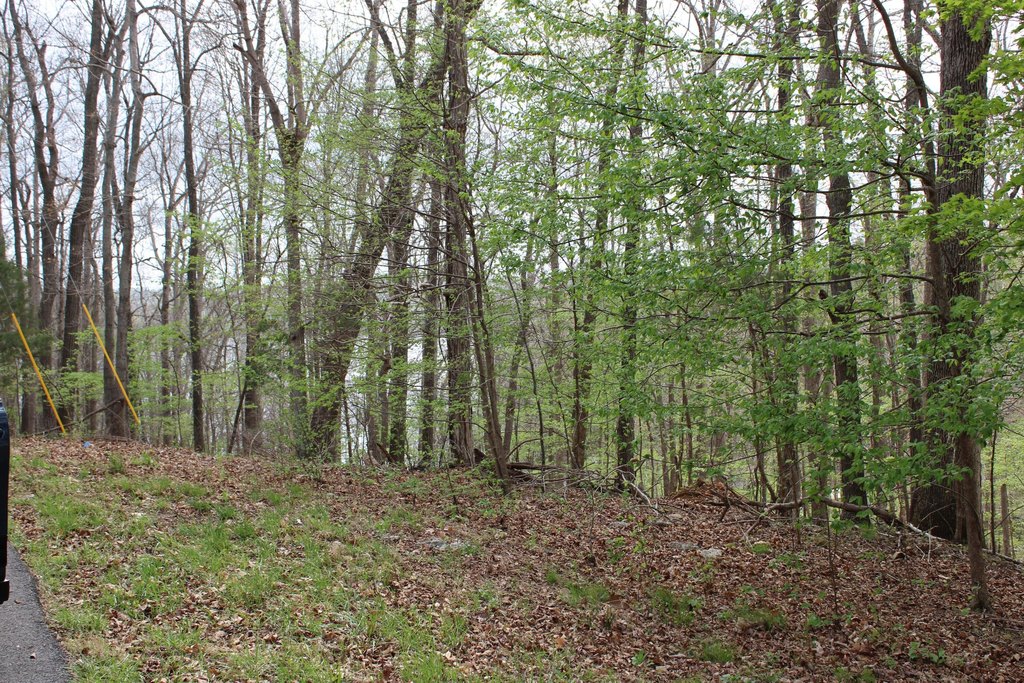 Picture 4
