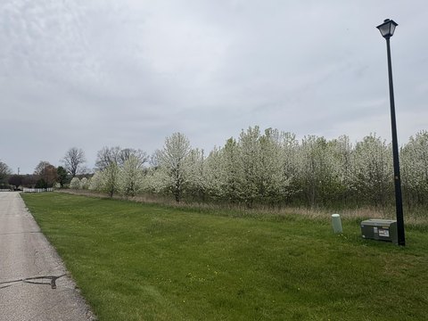 Residential Land in Gated Subdivision