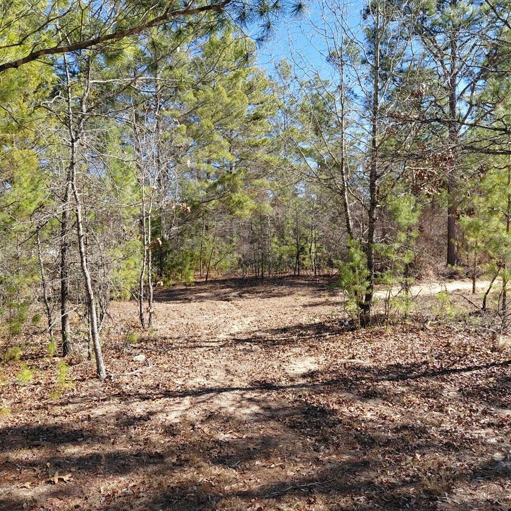 Wooded Land Lot in Georgia