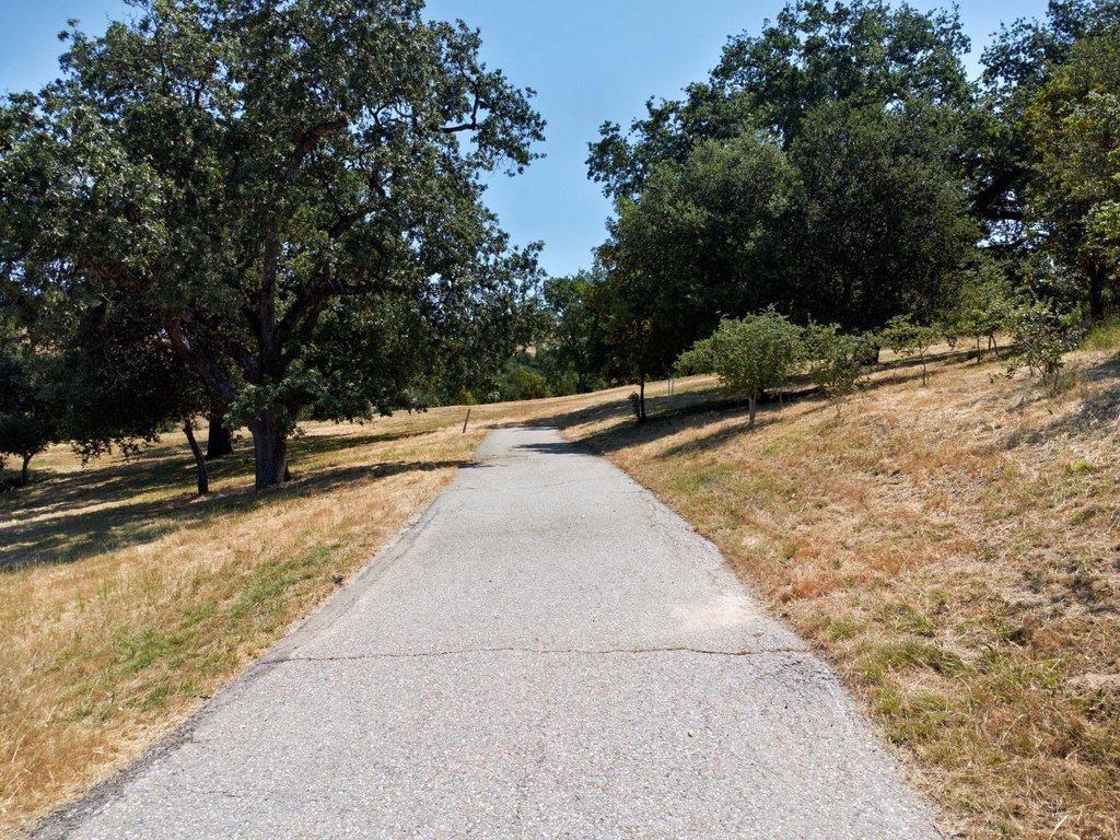 Picture 21