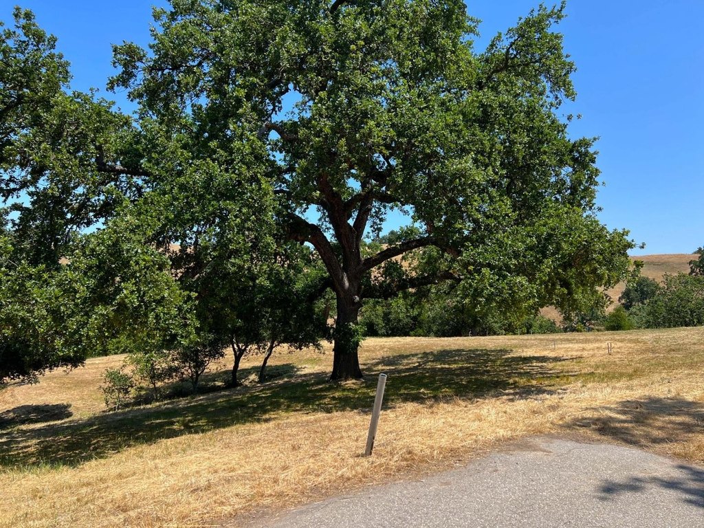Picture 22